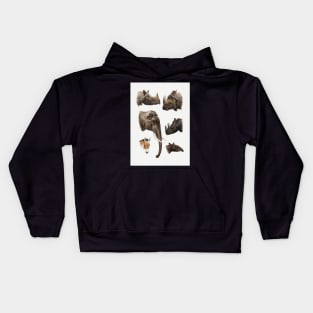 Sticker animal Kids Hoodie